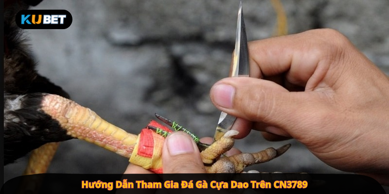 Hướng Dẫn Tham Gia Đá Gà Cựa Dao Trên CN3789